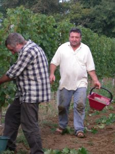 Gérard Vignobles Lopez Château de l'Hermitage Château Lagrugère Gérard Vignobles Lopez Château de l'Hermitage Château Lagrugère
